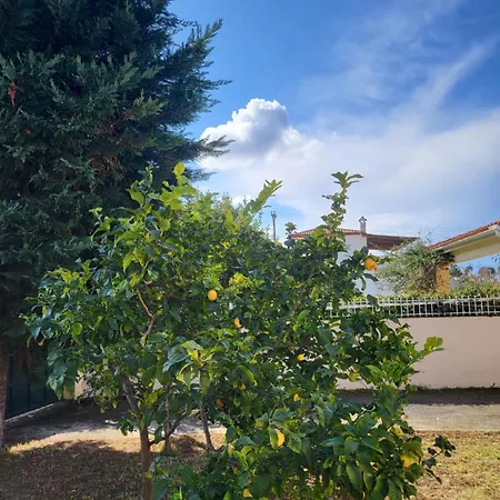 Relaxing Summer House With Garden & Private Parking 4 Min From In Apartment