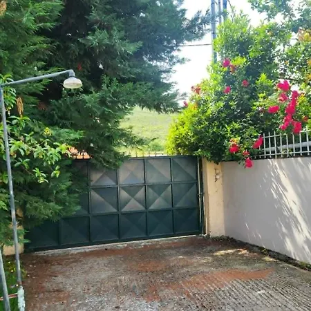 Relaxing Summer House With Garden & Private Parking 4 Min From In * Pefki (Evia)
